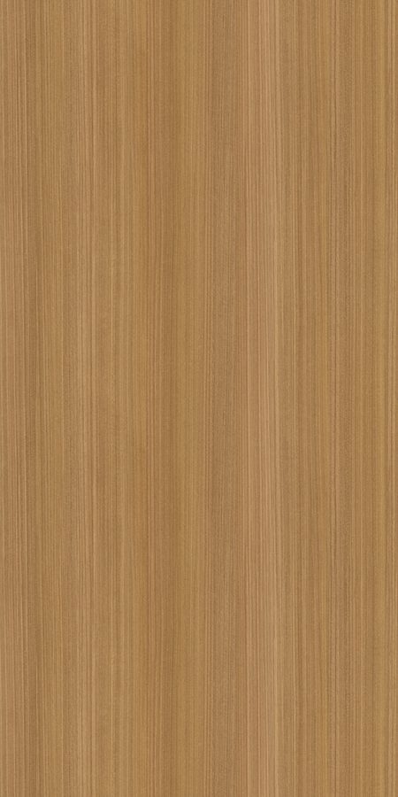 Eucalyptus