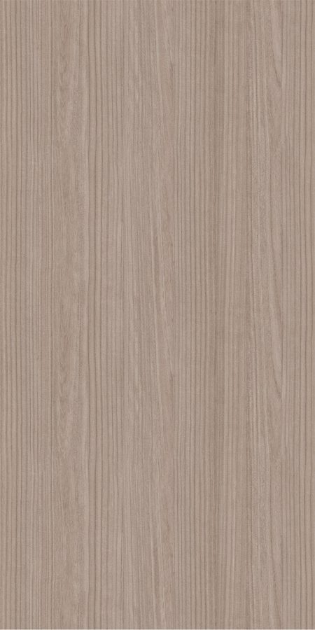 Paulownia
