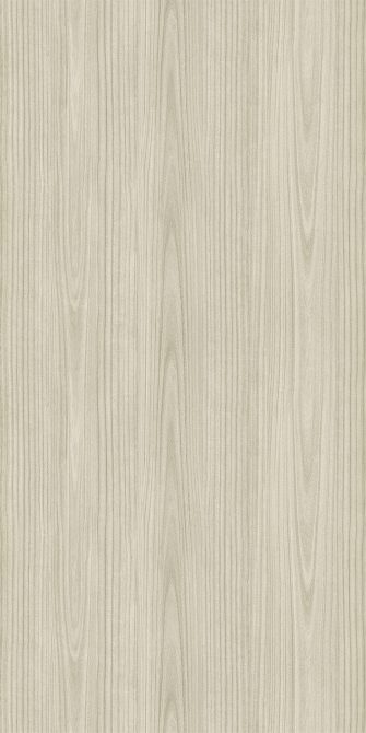 Paulownia - C.C.