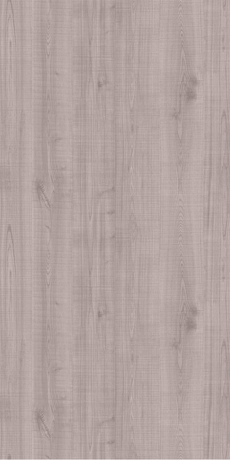 Elm - Knotty R.C.