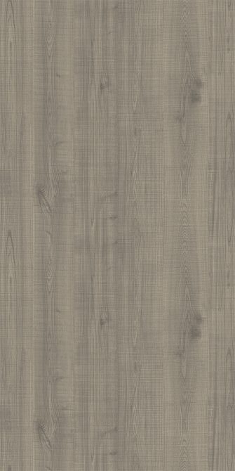 Elm - Knotty R.C.
