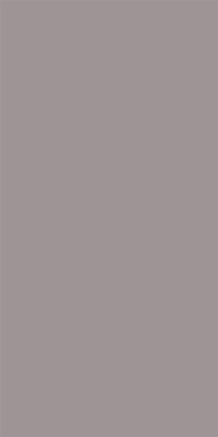 Silky Matte Limestone