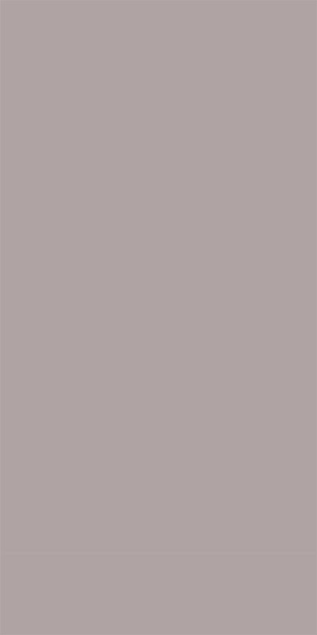 Sandblasted Shimmering Metallic Silver