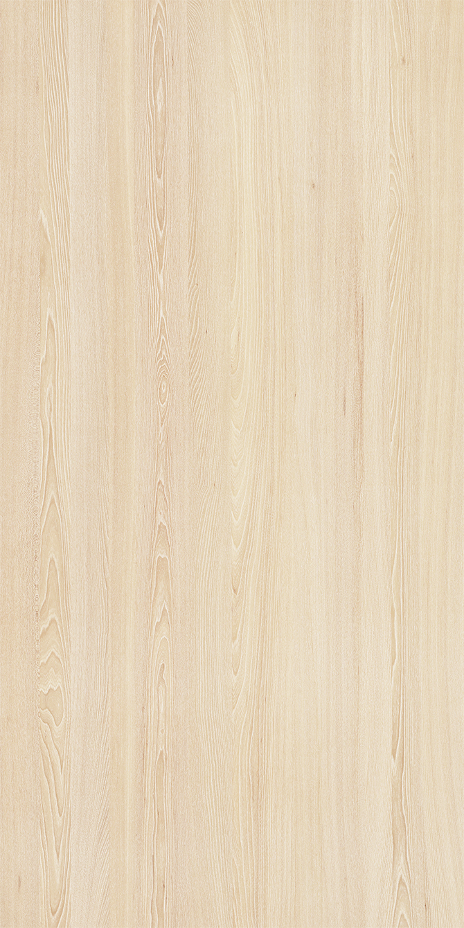 Elm-M.M.