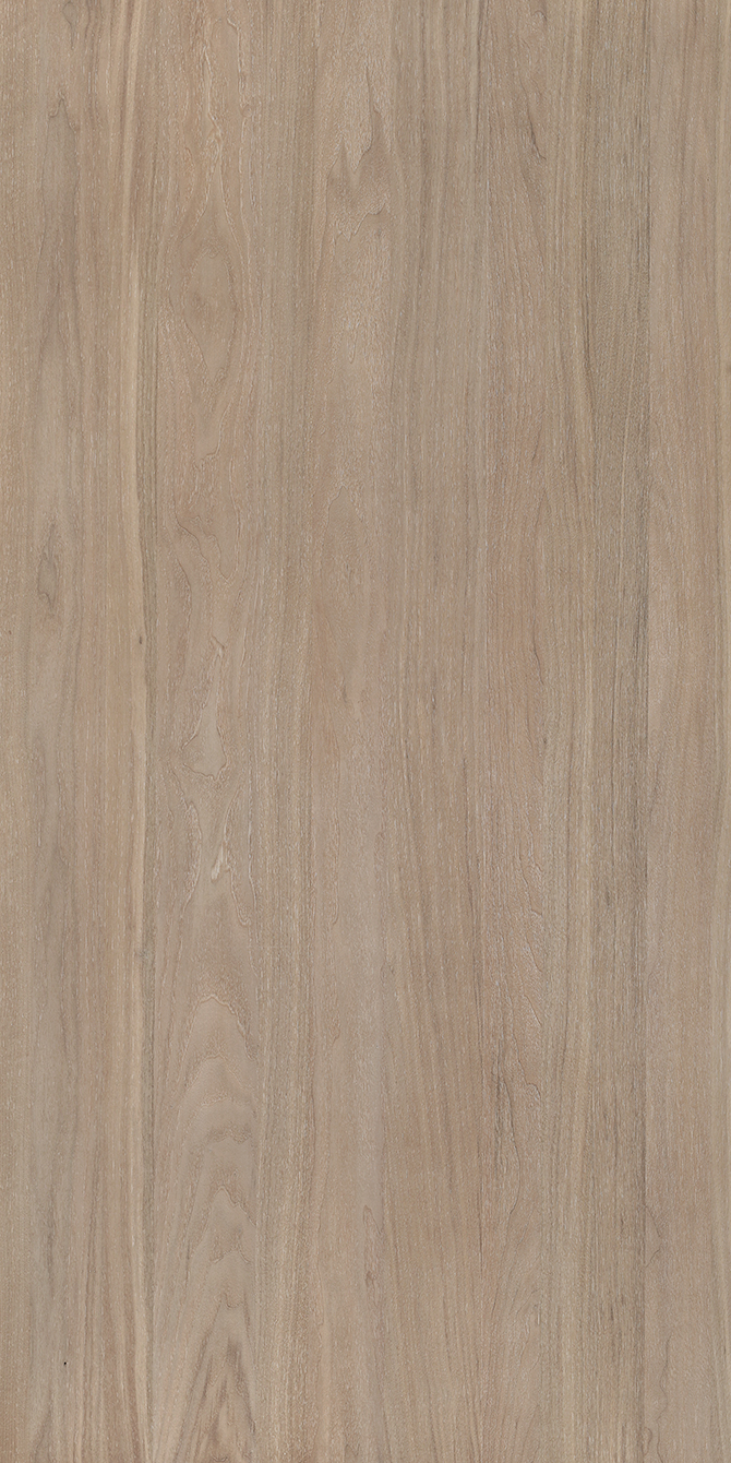Walnut-M.M.