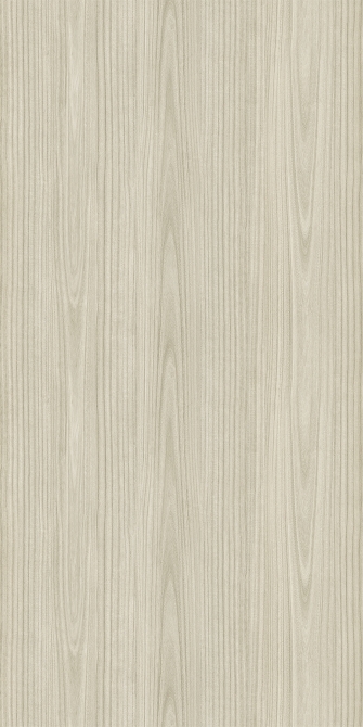Paulownia - C.C.