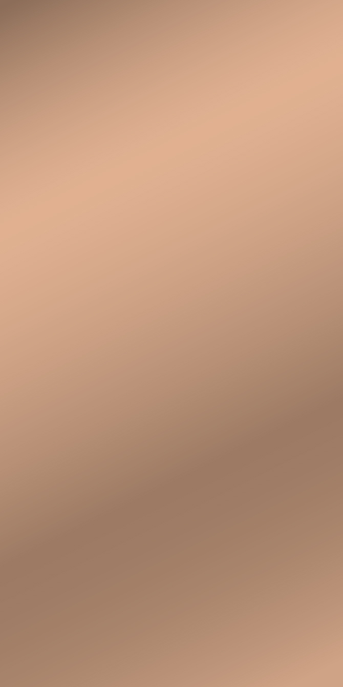 Aluminum Mirror Bronze