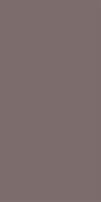 Silky Matte Taupe