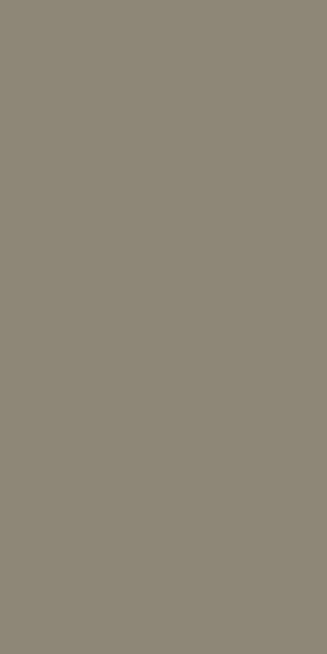 Silky Matte Olive Gray
