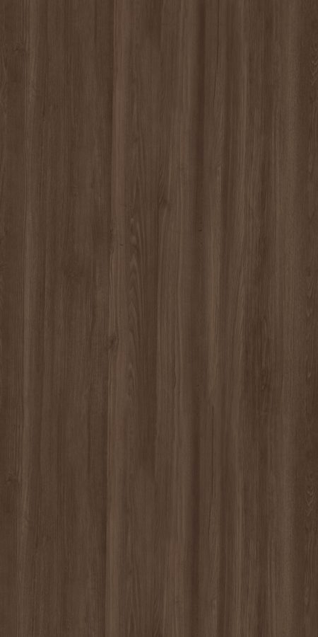 Ruster Elm