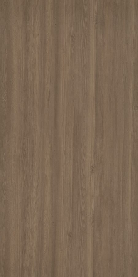 Ruster Elm