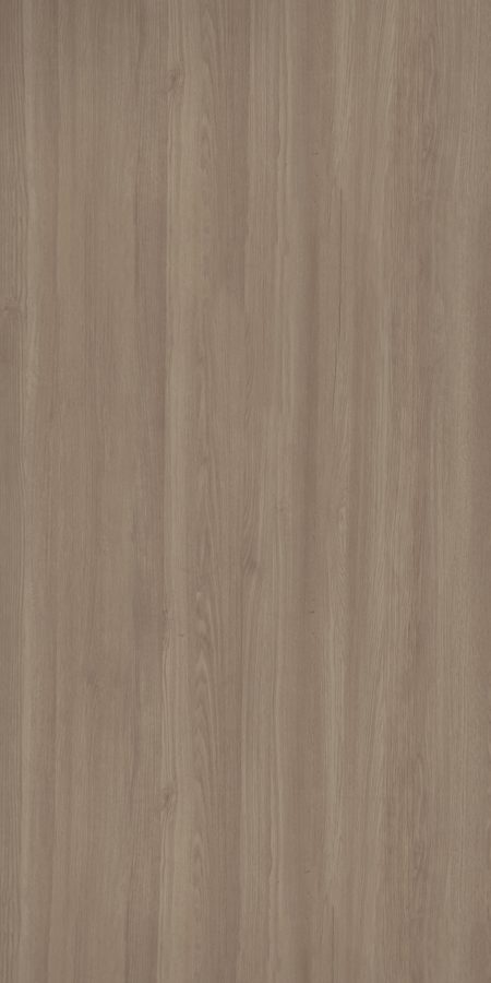 Ruster Elm