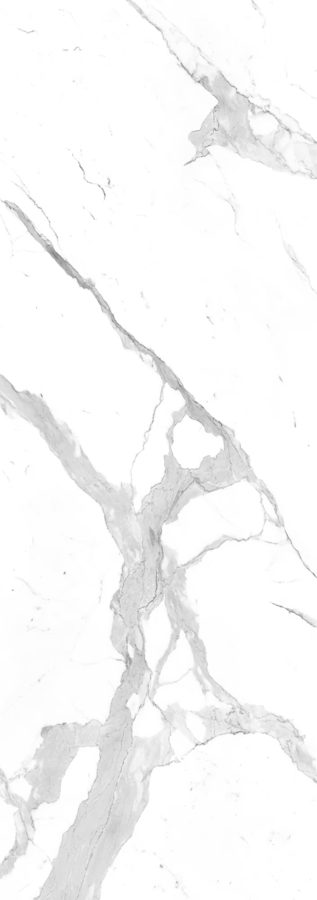 Bianco Statuario Venato