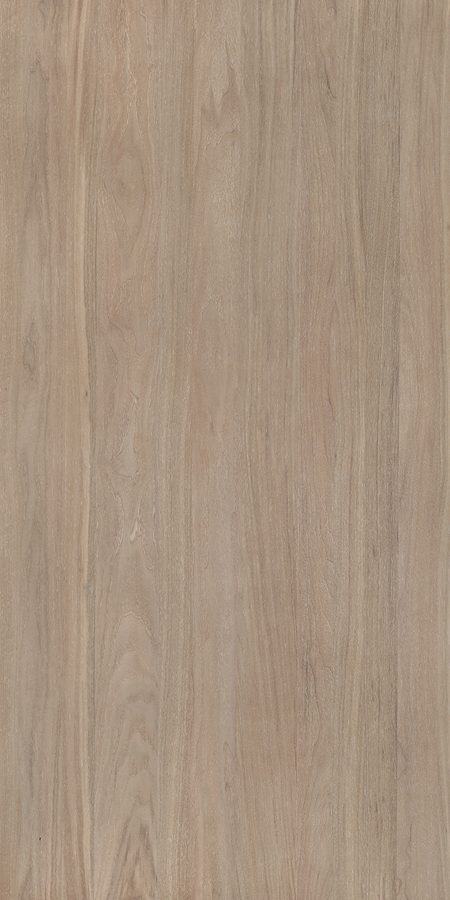 Walnut-M.M.