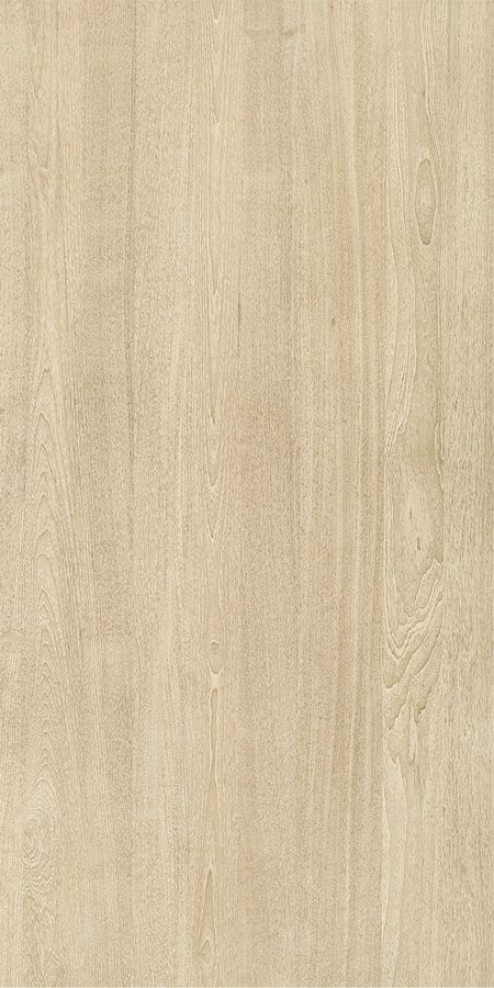 Teak-M.M.